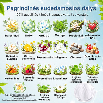 FFBSI®🎁 Liko tik 5 pakuotės!Gaukite papildomą 50 % nuolaidą!✨Pradėkite savo sveikesnio gyvenimo būdo kelionę jau šiandien!